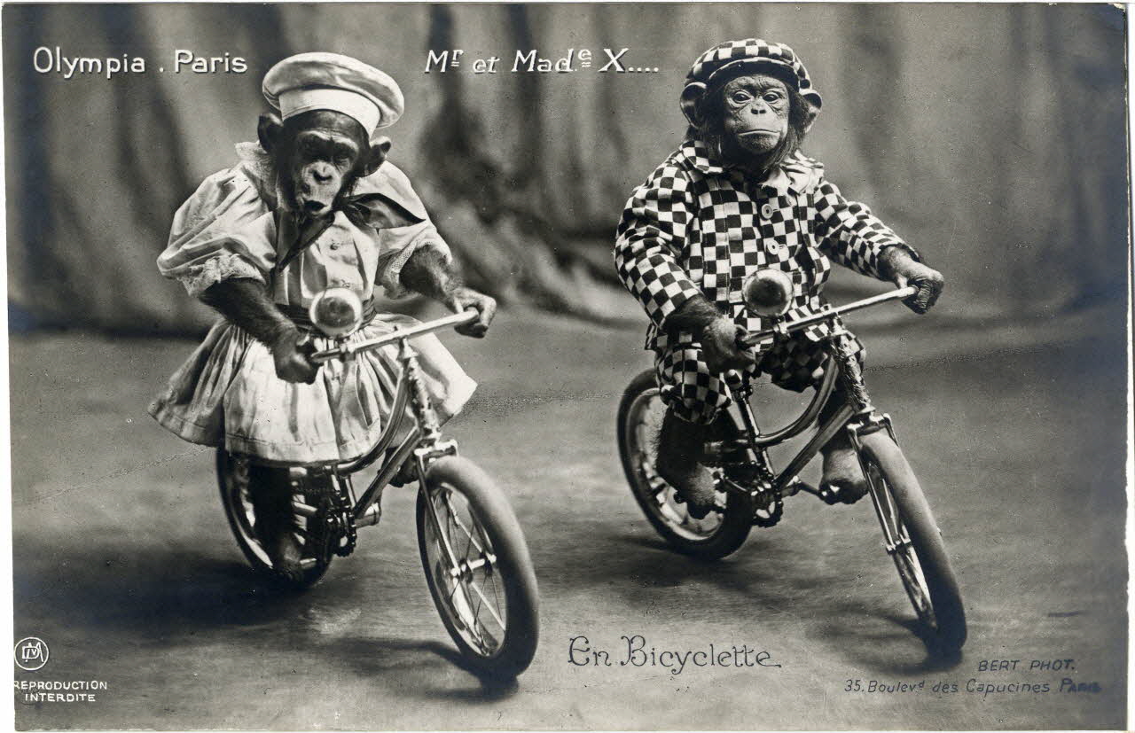 photographie Album n°8 du fonds Soury Sou.8.115.1 Photo