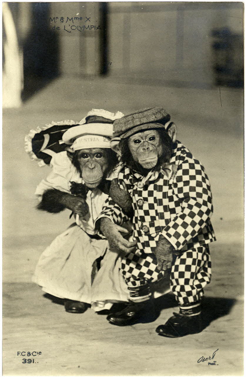 photographie Album n°8 du fonds Soury Sou.8.116.1 Photo