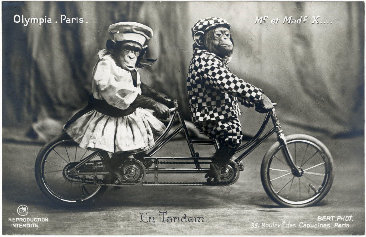 photographie Album n°8 du fonds Soury Sou.8.116.2 Photo