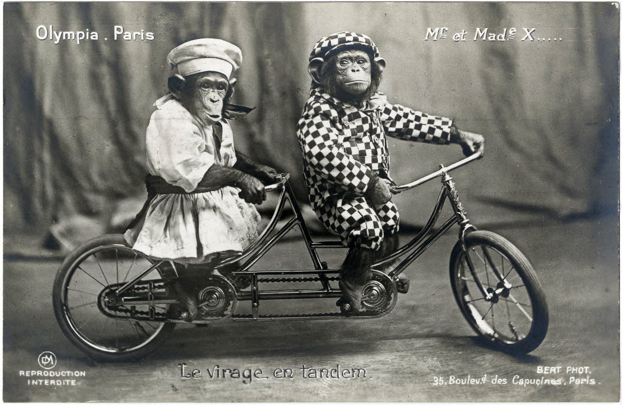 photographie Album n°8 du fonds Soury Sou.8.117.1 Photo