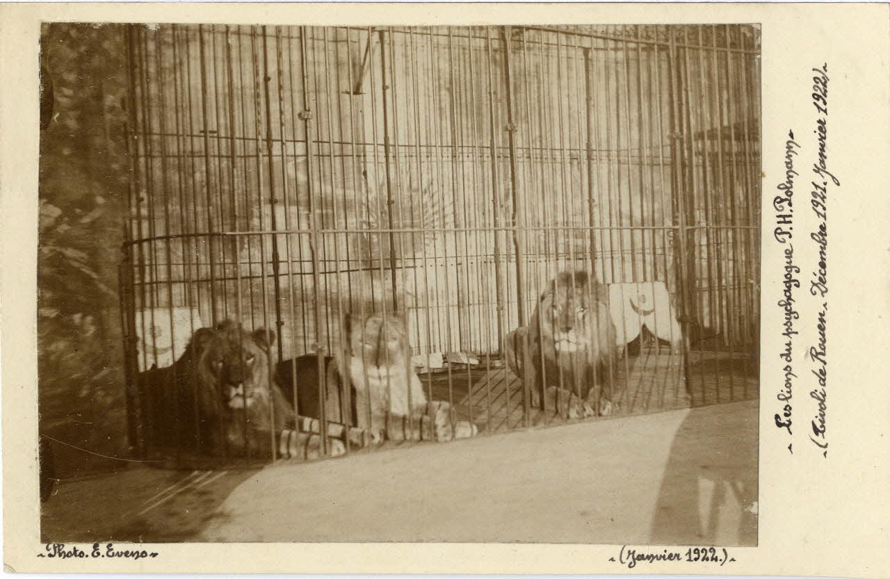 Edouard Eveno photographie Album n°8 du fonds Soury Haute-Normandie, France 1921/12/01 Sou.8.147.1 Photo