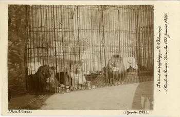 Edouard Eveno photographie Album n°8 du fonds Soury Haute-Normandie, France 1921/12/01 Sou.8.147.1 Photo