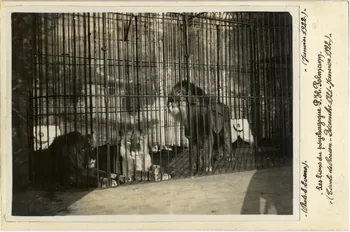 Edouard Eveno photographie Album n°8 du fonds Soury Haute-Normandie, France 1922/01/01 Sou.8.148.2 Photo