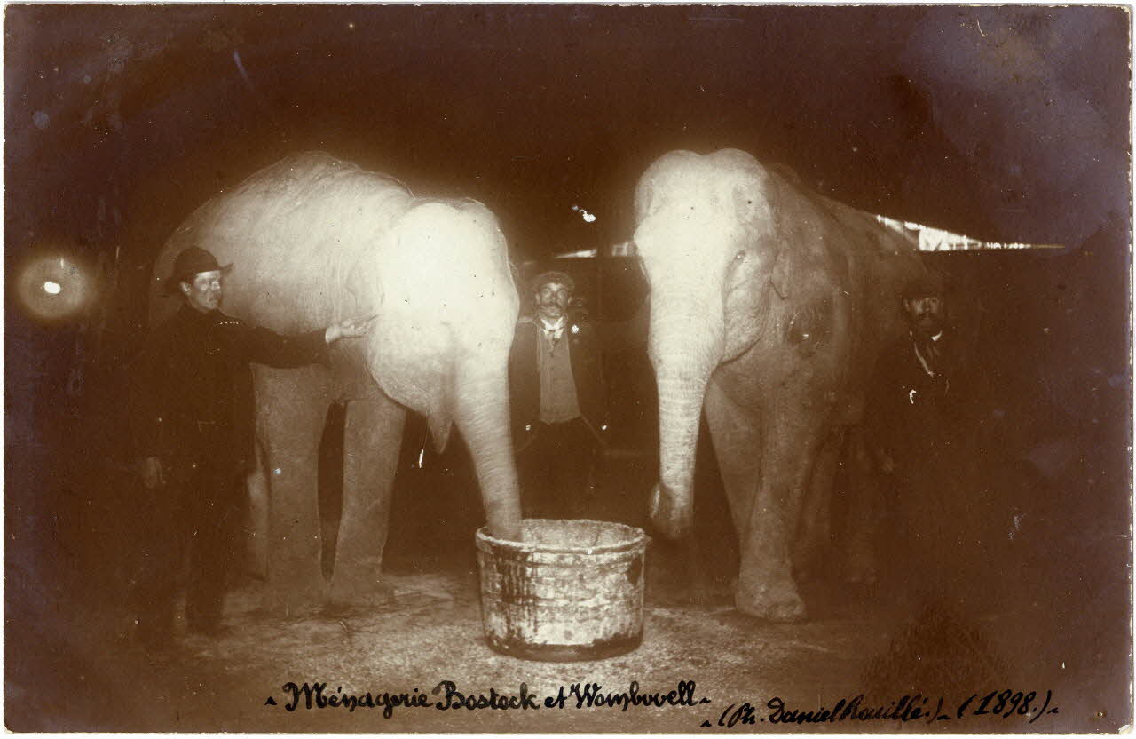 Daniel Rouillé photographie Album n°8 du fonds Soury 1898 Sou.8.2.2 Photo