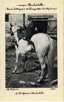 Le Jour photographie Album n°8 du fonds Soury Haute-Normandie, France 1934 Sou.8.58.1 Photo