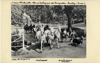 Le Jour photographie Album n°8 du fonds Soury Haute-Normandie, France 1934 Sou.8.64.2 Photo