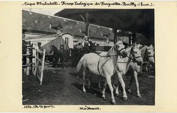 Le Jour photographie Album n°8 du fonds Soury Haute-Normandie, France 1934 Sou.8.65.1 Photo Mucem / Le jour