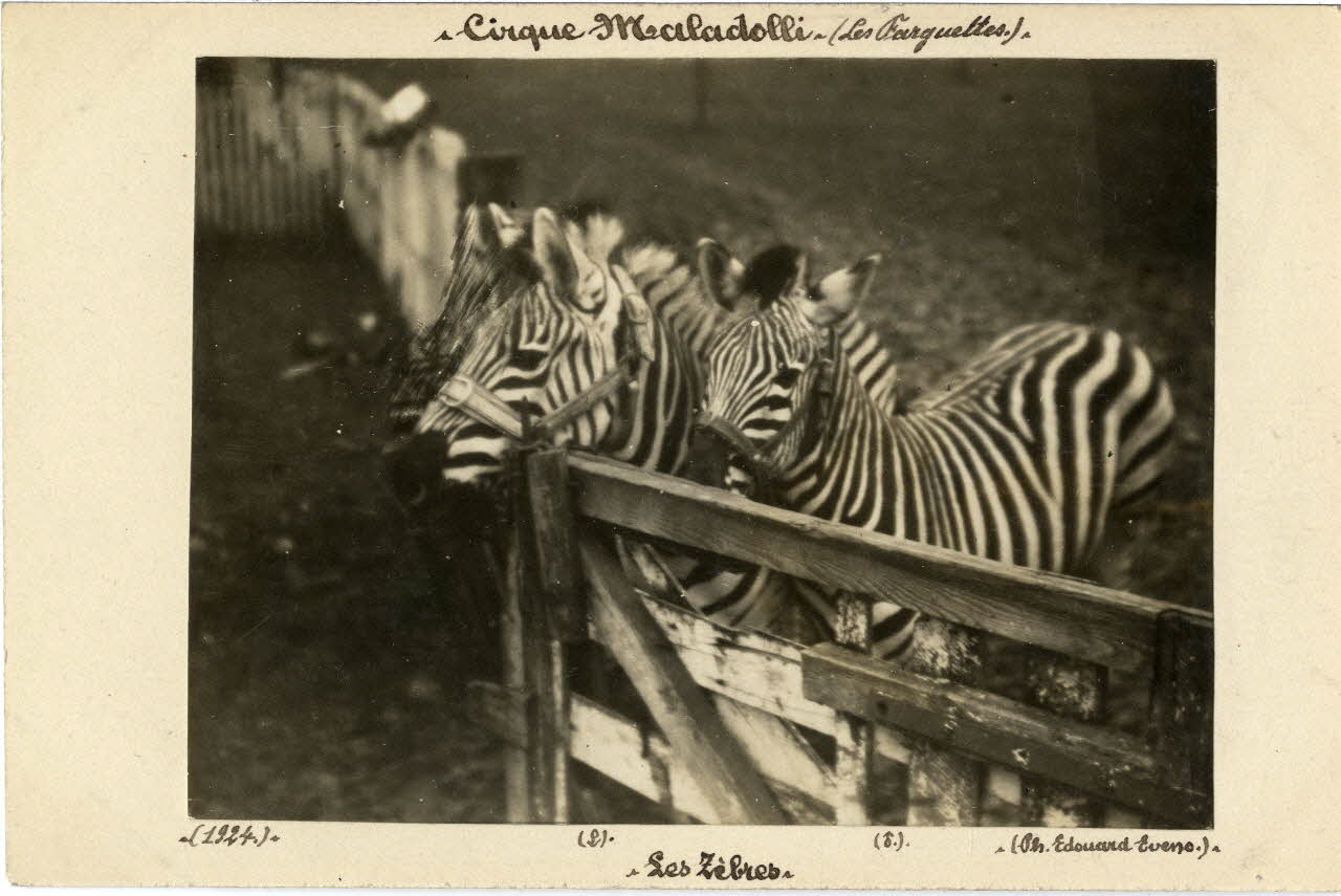 Edouard Eveno photographie Album n°8 du fonds Soury 1924 Sou.8.70.1 Photo