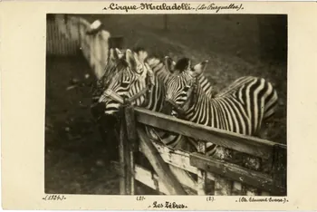 Edouard Eveno photographie Album n°8 du fonds Soury 1924 Sou.8.70.1  Photo