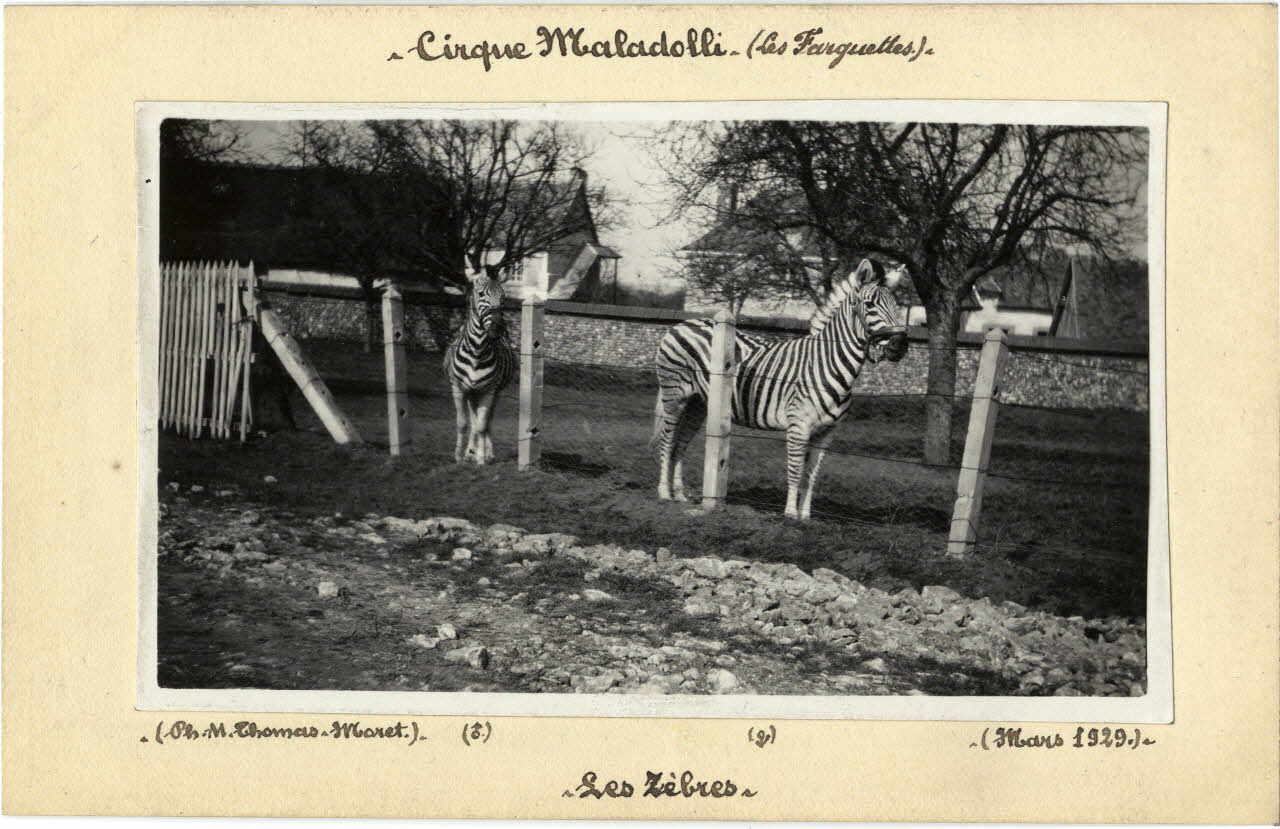 Thomas Moret photographie Album n°8 du fonds Soury 1929/03/01 Sou.8.71.2 Photo