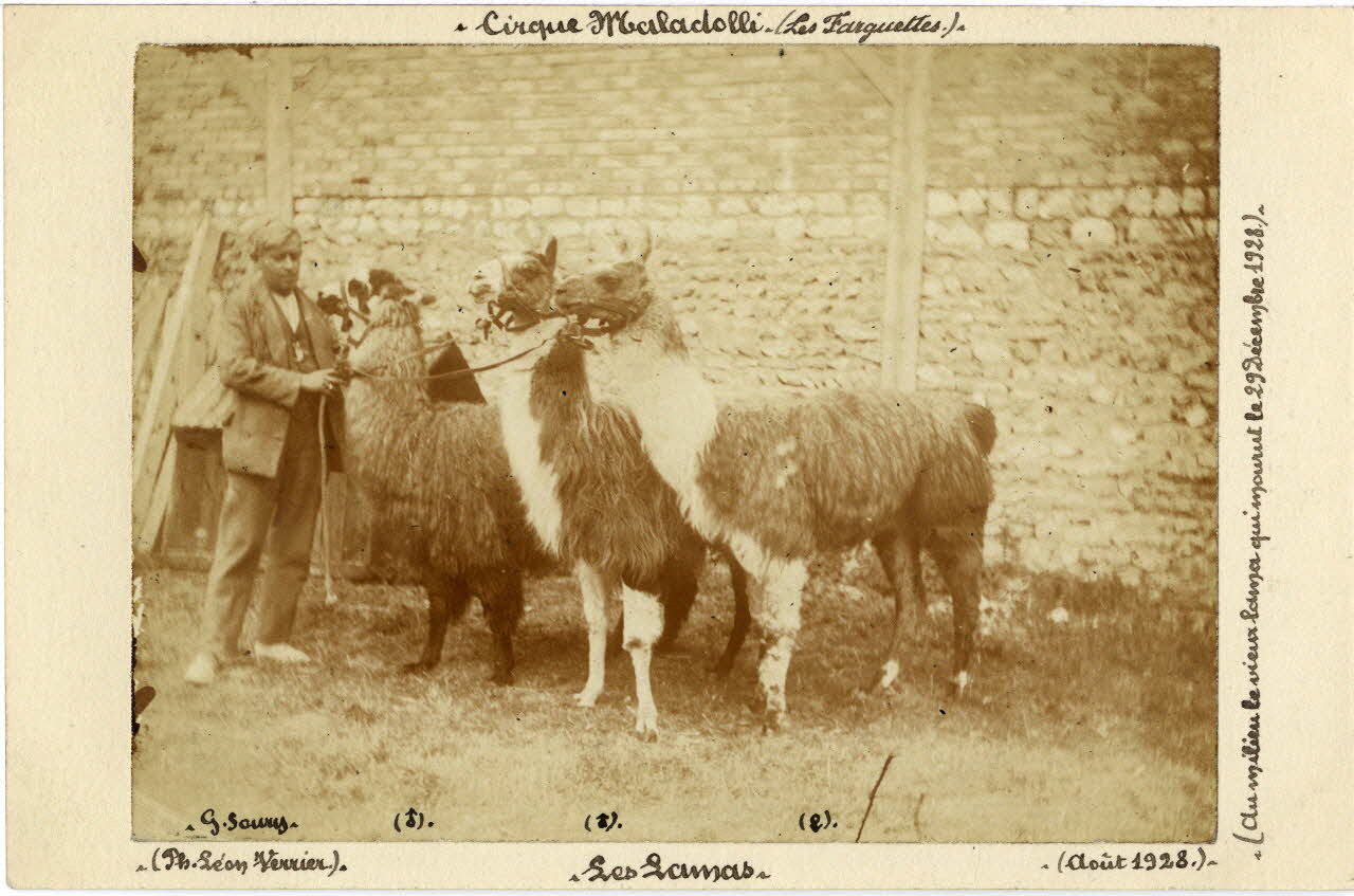photographie Album n°8 du fonds Soury Sou.8.73.2 Photo
