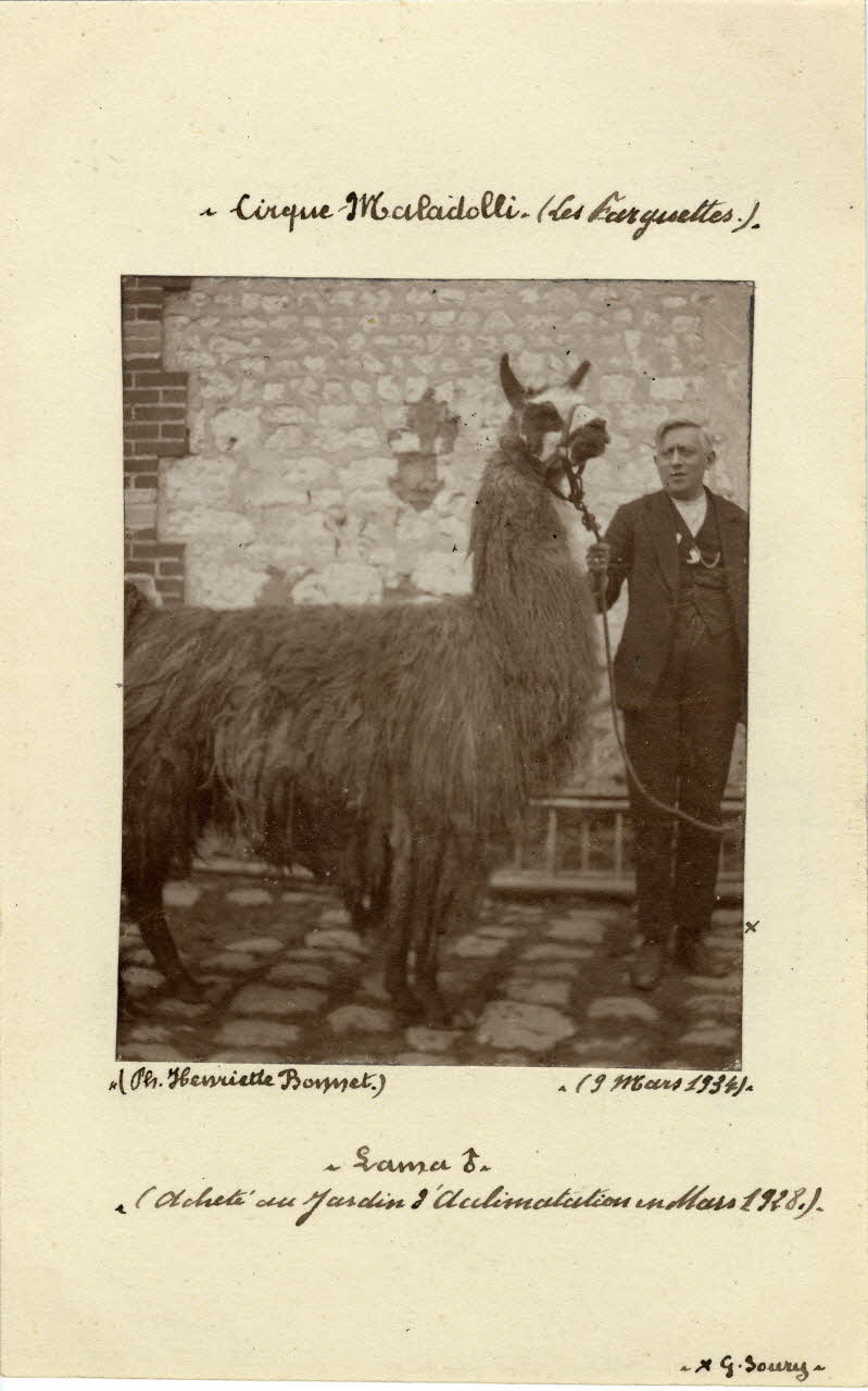Henriette Bonnet photographie Album n°8 du fonds Soury Haute-Normandie, France 1934/03/09 Sou.8.74.1 Photo