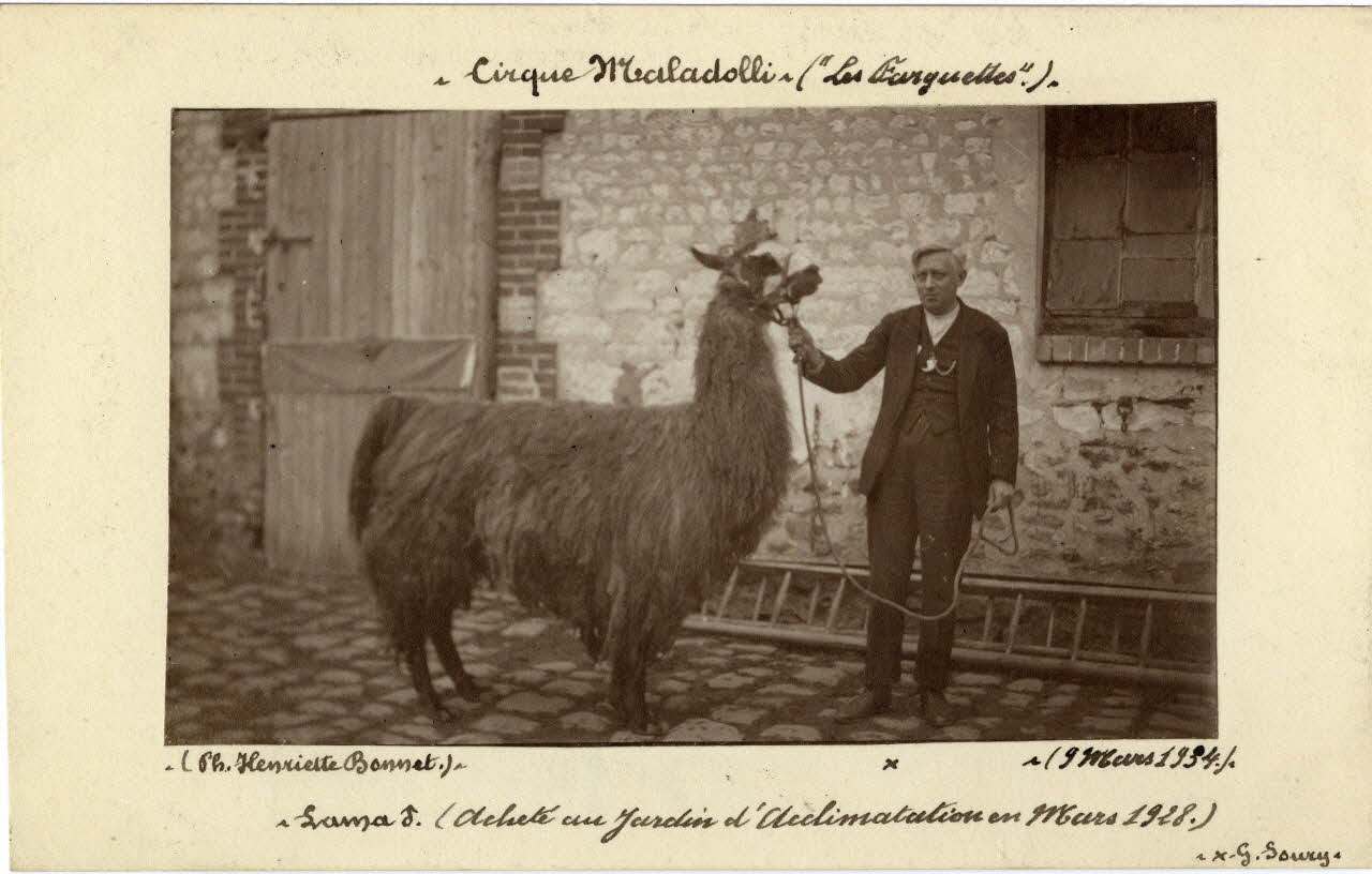 Henriette Bonnet photographie Album n°8 du fonds Soury Haute-Normandie, France 1934/03/09 Sou.8.74.2 Photo