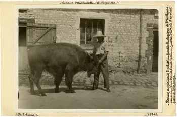 Edouard Eveno photographie Album n°8 du fonds Soury Haute-Normandie, France 1924 Sou.8.76.2  Photo