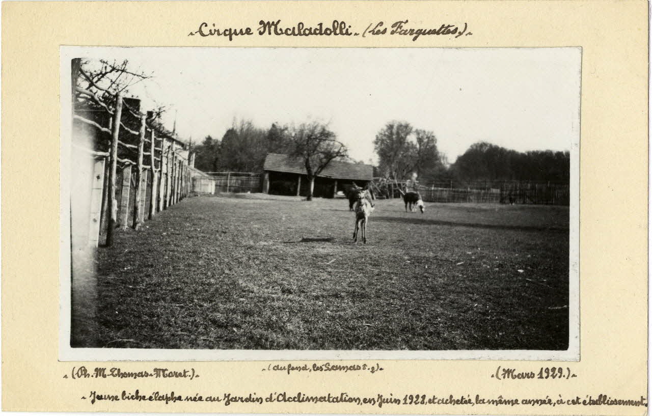 Thomas Moret photographie Album n°8 du fonds Soury Haute-Normandie, France 1929/03/01 Sou.8.79.1 Photo