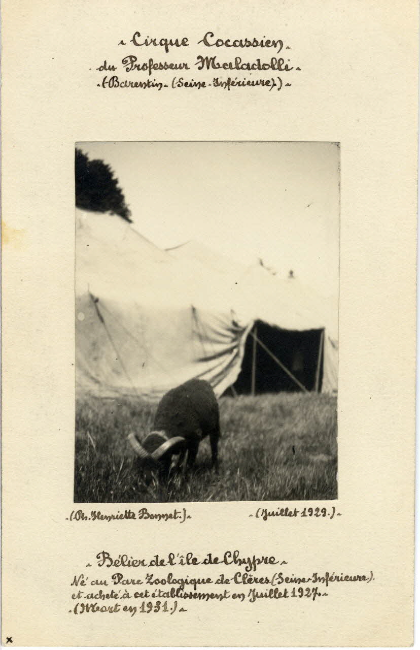 Henriette Bonnet photographie Album n°8 du fonds Soury Haute-Normandie, France 1929/07/01 Sou.8.85.2 Photo