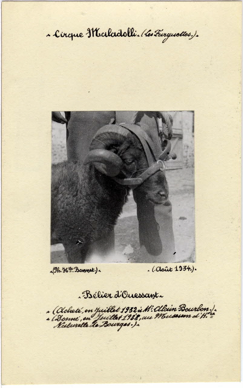 photographie Album n°8 du fonds Soury Sou.8.86.1 Photo
