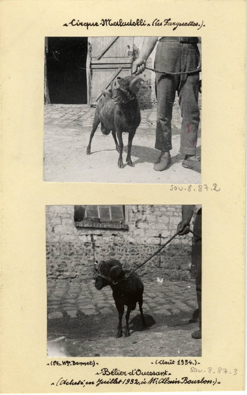 Henriette Bonnet photographie Album n°8 du fonds Soury Haute-Normandie, France 1938/08/01 Sou.8.87.2 Photo