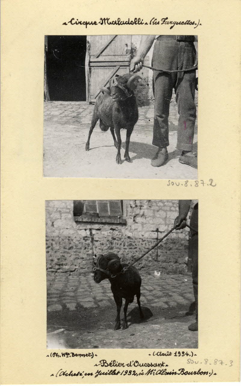 Henriette Bonnet photographie Album n°8 du fonds Soury Haute-Normandie, France 1938/08/01 Sou.8.87.3 Photo