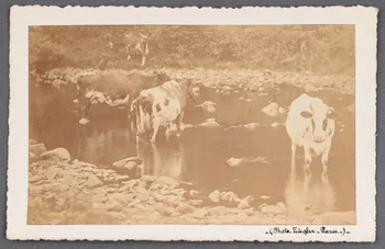 photographie Fonds Soury Sou.B.711 Photo