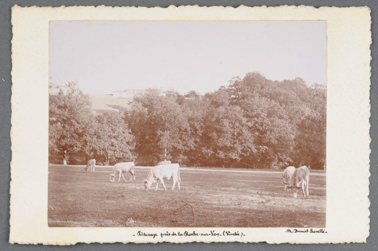 photographie Fonds Soury Sou.B.713 Photo