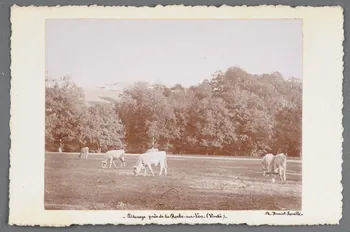photographie Fonds Soury Sou.B.713  Photo