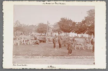 photographie Fonds Soury Sou.B.714  Photo