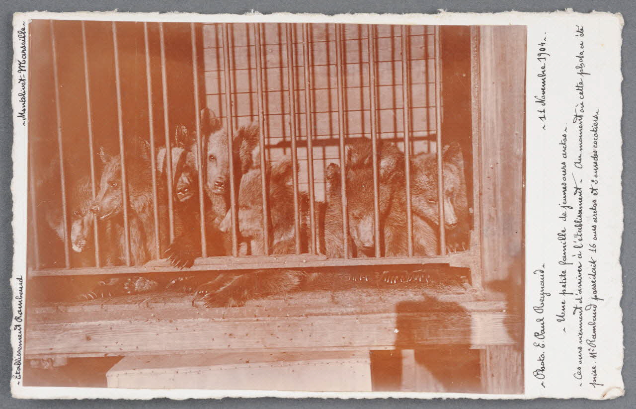 E. Paul Reynaud photographie Fonds Soury Provence-Alpes-Côte d'Azur, France 1904/11/11 Sou.B.719 Photo