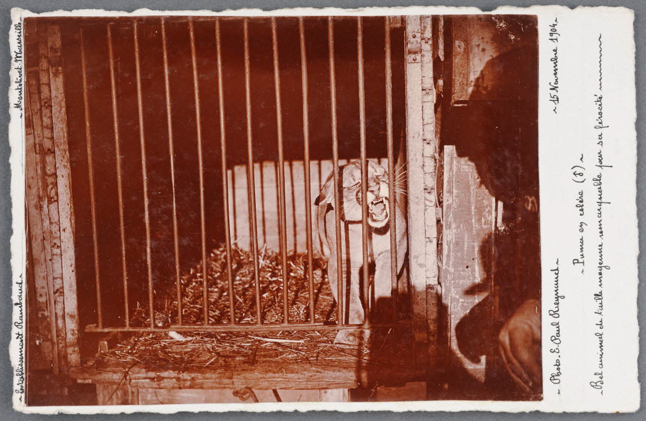 E. Paul Reynaud photographie Fonds Soury Provence-Alpes-Côte d'Azur, France 1904/11/15 Sou.B.721 Photo