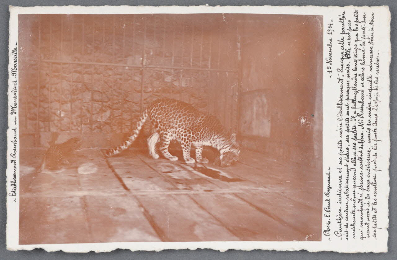 E. Paul Reynaud photographie Fonds Soury Provence-Alpes-Côte d'Azur, France 1904/11/15 Sou.B.722 Photo