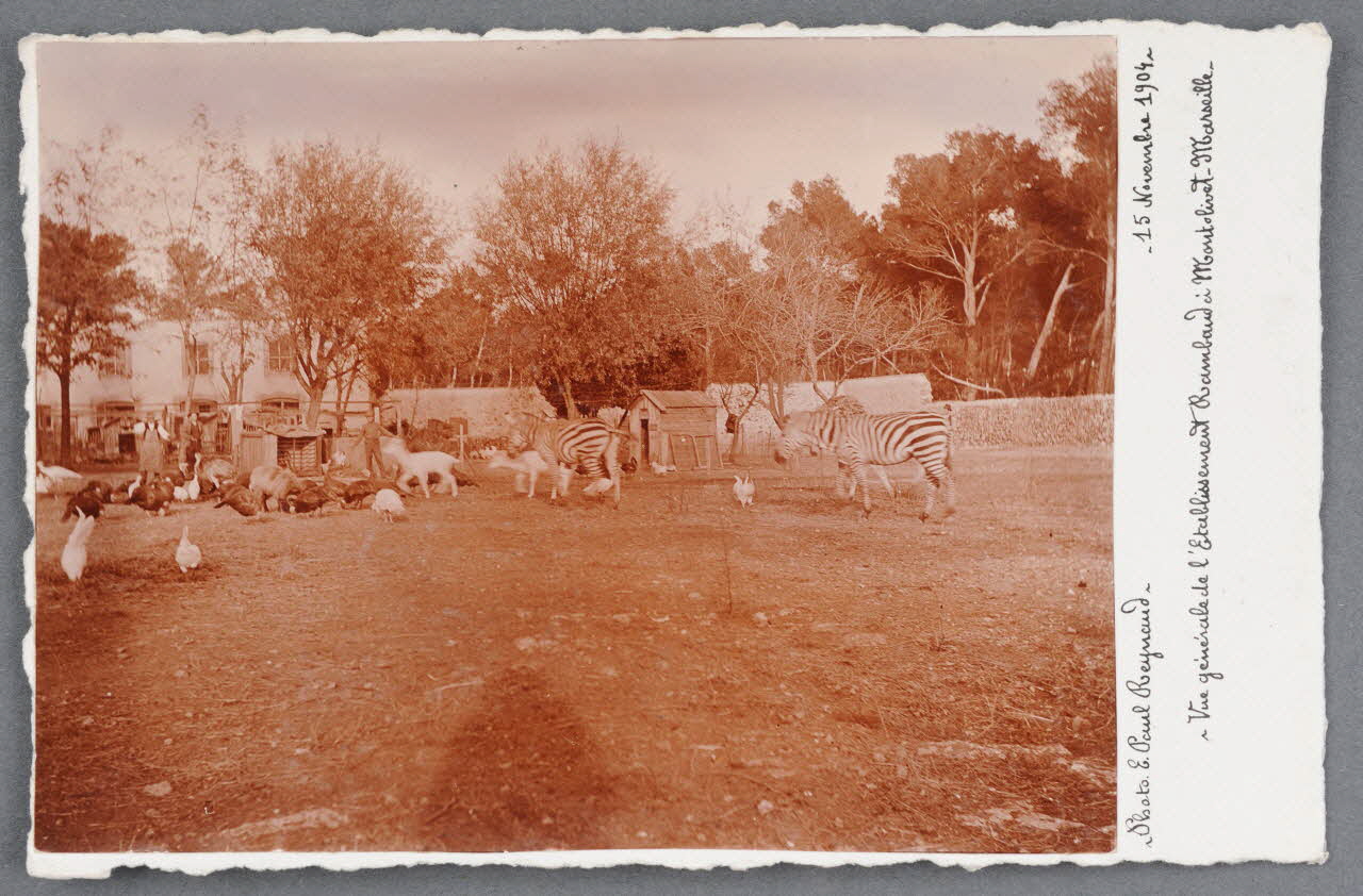 E. Paul Reynaud photographie Fonds Soury Provence-Alpes-Côte d'Azur, France 1904/11/15 Sou.B.724 Photo