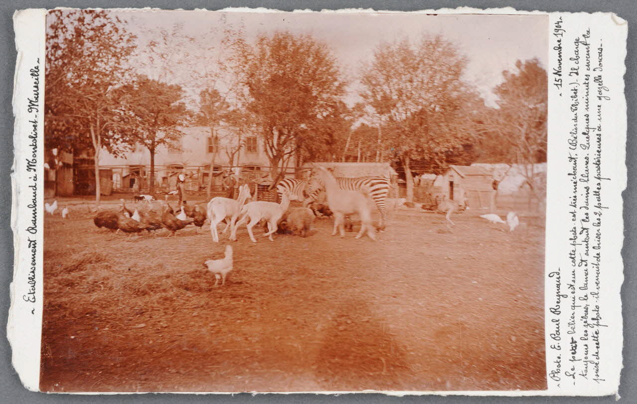 E. Paul Reynaud photographie Fonds Soury Provence-Alpes-Côte d'Azur, France 1904/11/15 Sou.B.725 Photo
