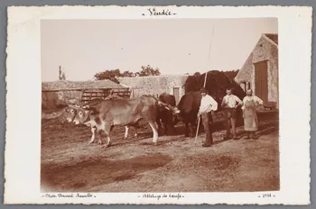 photographie Fonds Soury Sou.B.732  Photo