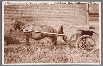 Anonyme photographie Fonds Soury Haute-Normandie, France 1929 Sou.B.736  Photo