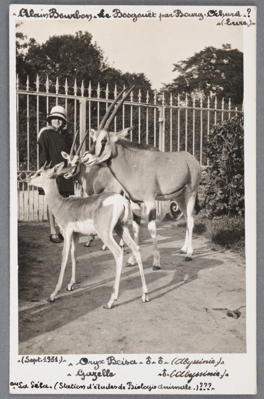 photographie Fonds Soury Sou.B.738 Photo