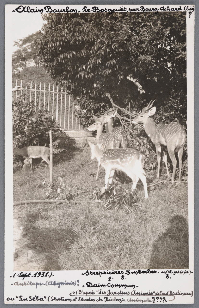 photographie Fonds Soury Sou.B.739 Photo
