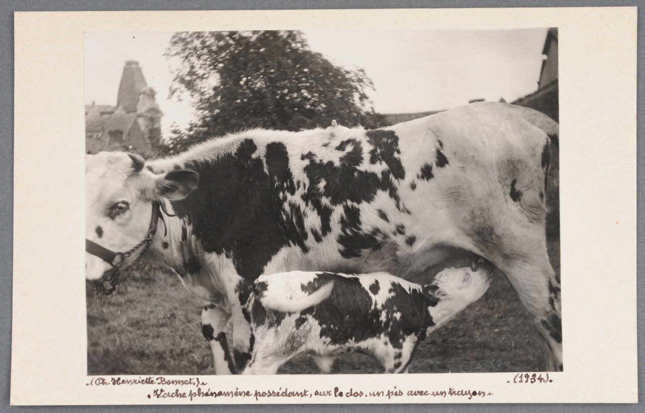 Henriette Bonnet photographie Fonds Soury 1934 Sou.B.740 Photo