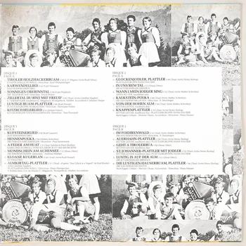 Hurt Hertha ; GüNther Eppler ; Luis Hupfauf ; Hubert Klier ; Toni SulzböCk ; Rudi Mraz ; J.-F. Wagner ; Walter Scherlau ; Karl Perost ; Niessen ; Karl Ganzer ; Hans Otter ; Heinz Barlog ; Stadtkapelle Woergl; ; Karl Wimpissinger ; Das Mondscheintrio; ; Die Telfer Buam; ; S. Feiersinger ; Plattlergruppe Mariastein; ; Hermann Huber ; KitzbüHler NationalsäNger; ; Toni Praxmain ; Das Edelweisstrio; ; Die Fidelen Kirchberger; ; Pepi Jennewein ; Jodeltrio Schroll; ; Die Mehrnsteiner; ; Adreas Mittner ; Stangltrio; ; Plattlergruppe Soell; ; Peter Horngacher ; Plattlergruppe Hans Hauser; ; Die Kirtzbueheler Dirnldln; ; Anna Ritter ; Die Hausermusikanten; ; S. Staudinger ; Ritter-Leiter; ; Polydor disque 33 tours A Feder am Huat 1973 MUS2011.3.149.1-3 Photo