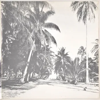 Tahiahu'iupoko ; Karoro Gilmore ; Ma'ieua ; Bernard Surugues ; Selaf / Orstom disque 33 tours Clarinette idioglotte (pu hakahau) 1979 MUS2011.3.67.1-2 Photo