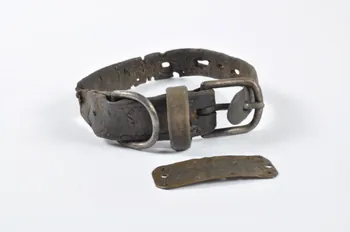 collier de chien 1964.85.246 Photo Mucem