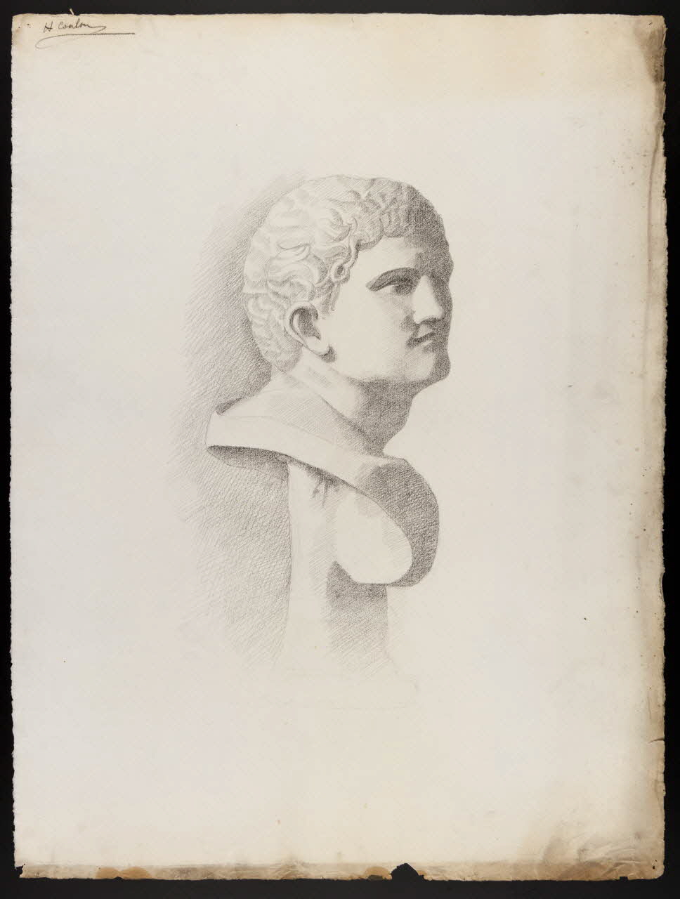 Coulon Henri dessin Etude d'après la bosse 1893-1903 1973.31.30 Photo Mucem