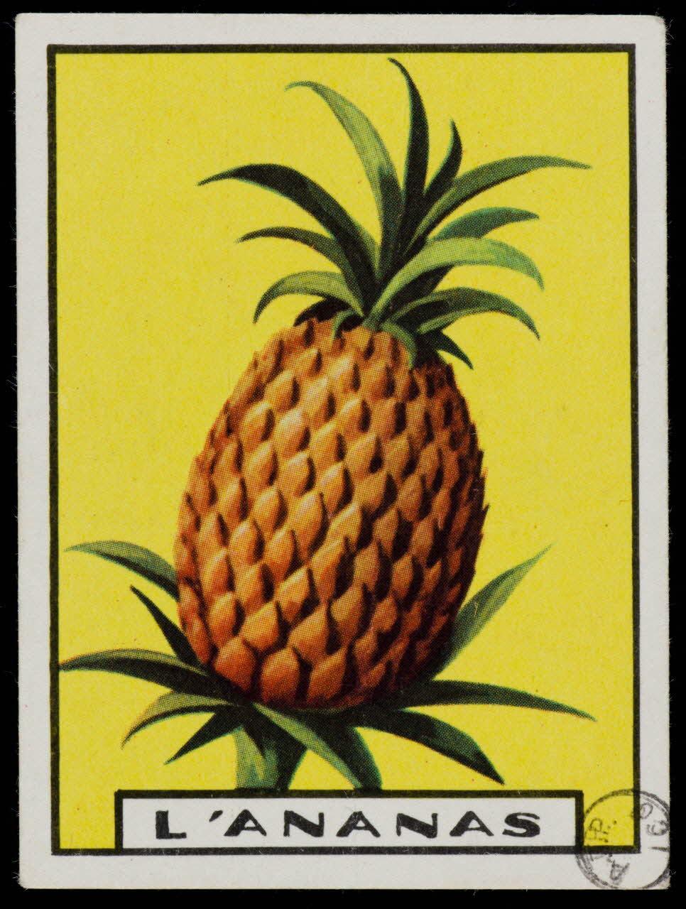 estampe L'ANANAS 1973.54.135 Photo Mucem