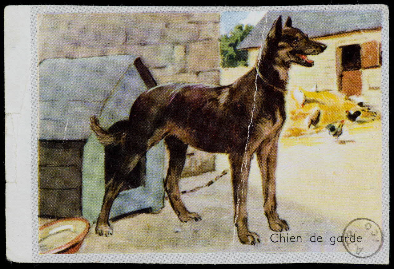 estampe Chien de garde 1973.54.136 Photo Mucem