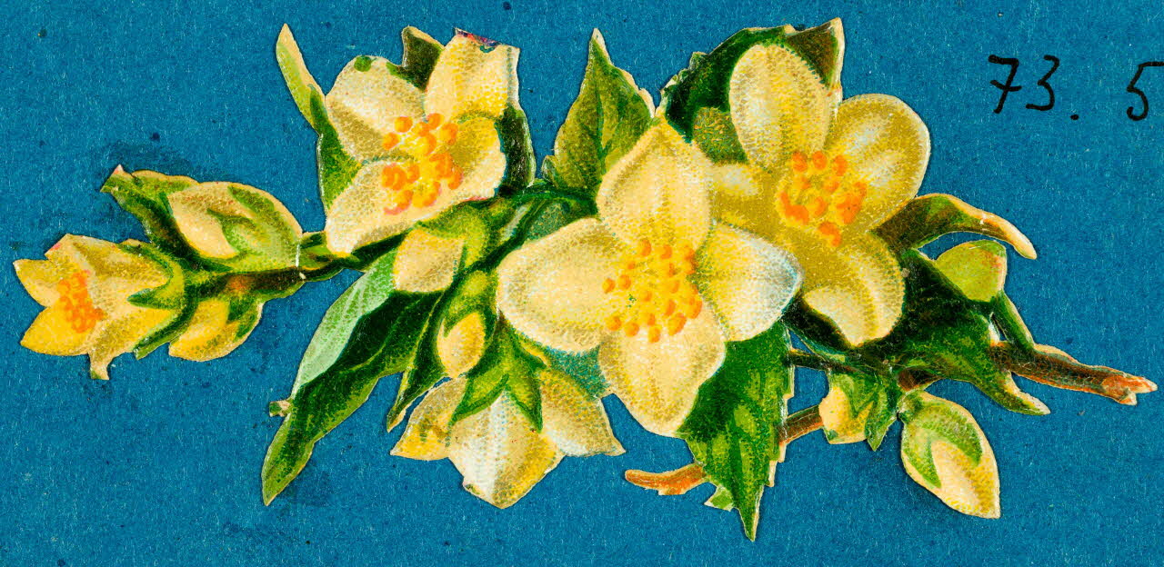 estampe Bouquet de fleurs 1973.54.63.2 Photo Mucem