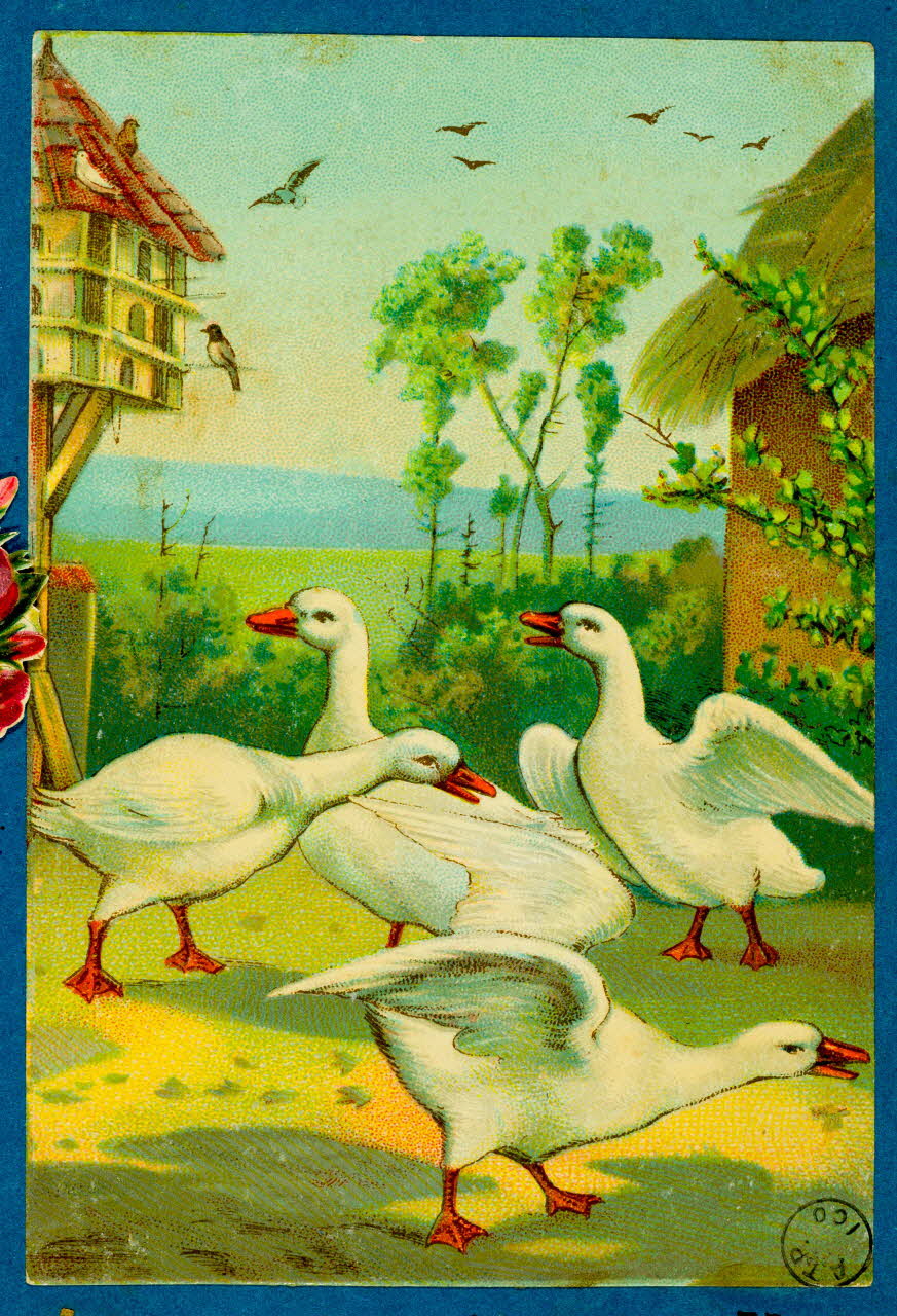 estampe Oies 1973.54.76.1 Photo Mucem