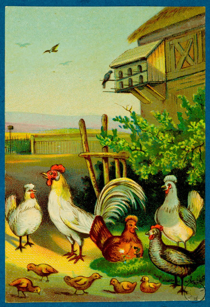 estampe Poulailler 1973.54.78.1 Photo Mucem