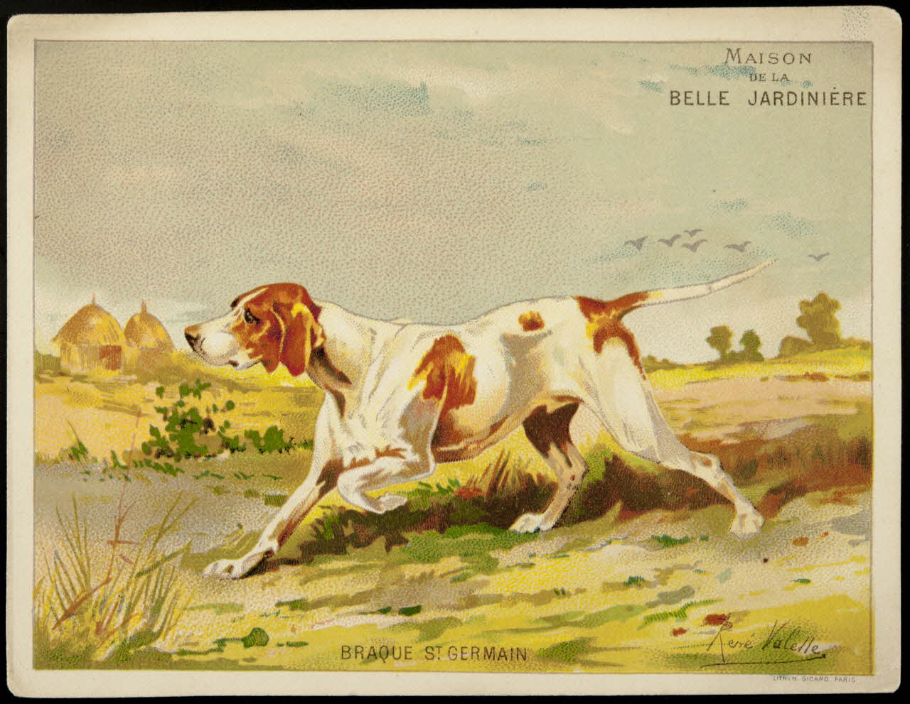 carte réclame BASSETS 1974.50.11 Photo Mucem