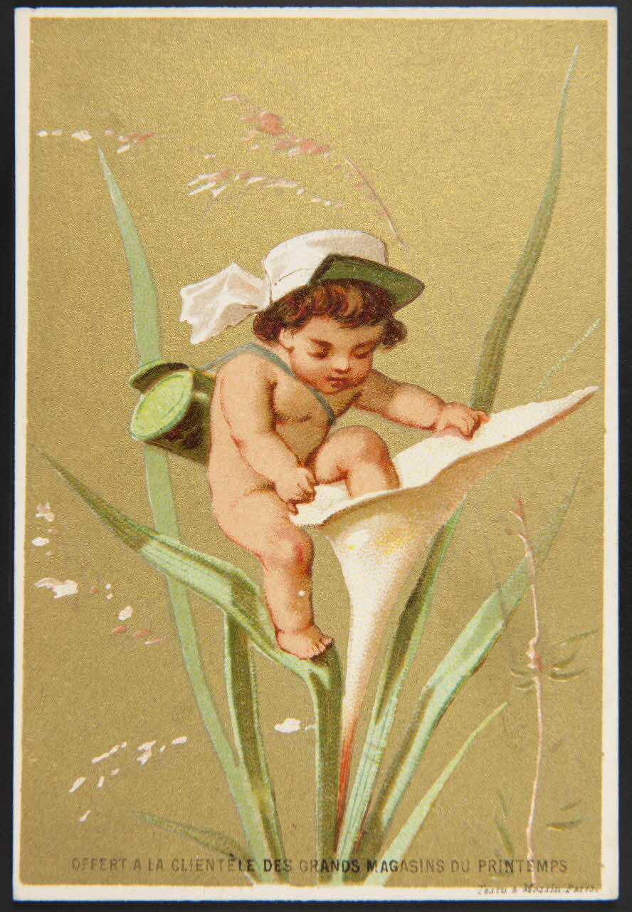 carte réclame Enfant grimpant dans un arum 1974.50.212 Photo Mucem