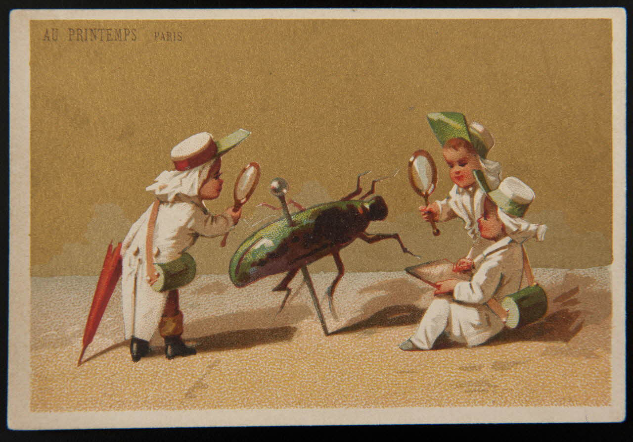 carte réclame Des scientifiques observent un insecte épinglé 1974.50.218 Photo Mucem