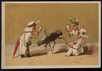carte réclame Des scientifiques observent un insecte épinglé 1974.50.218 Photo Mucem